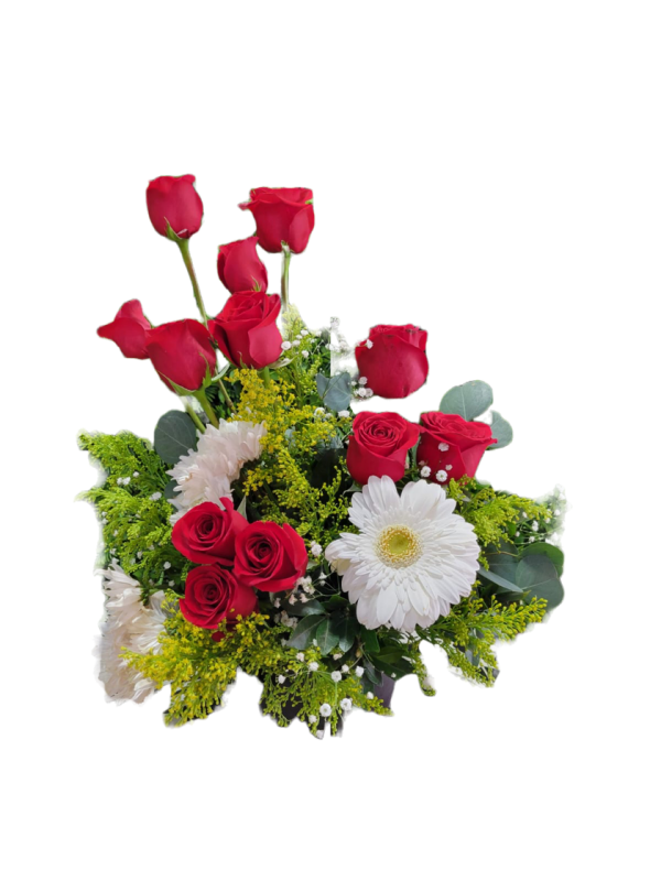 R12 - GERBERA