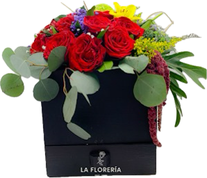 Caja de 12 Rosas